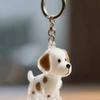 2026 Doorzichtige Hondenharen Opbergcontainer Schattige Huisdieren Herinnerings Capsule Hanger Met Sleutelhanger voor Huisdierenliefhebbers DIY Herdenkings Sleutelhanger