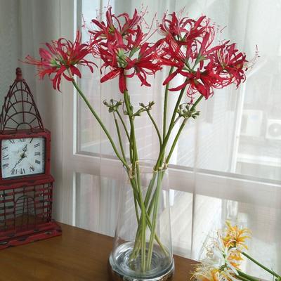 60cm Simulation Manzhushahua Seiden-Spinnenlilien Künstliche Blumen Fotografie Dekoration DIY Pseudo Lycoris Strauß Hochzeit