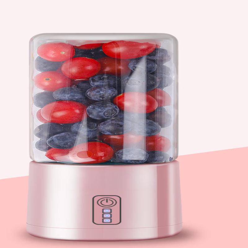 LISM Portable Fruit Juicer