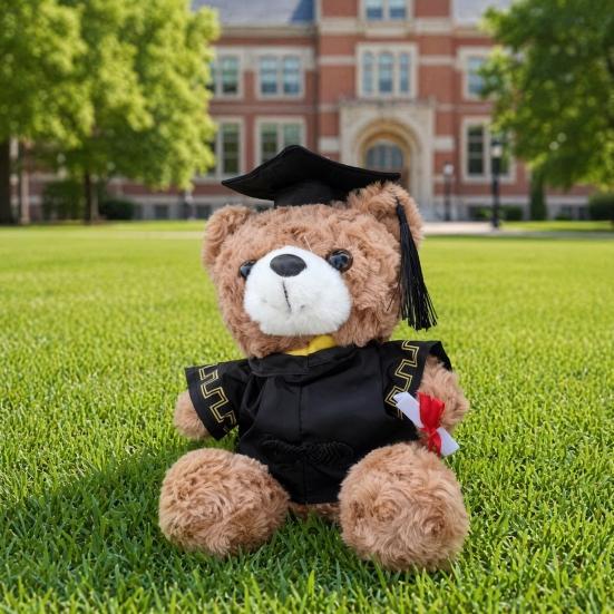 Personalized Graduation Bear Doll 2026 for Her, Soft Plush Teddy with Embroidered Gown, Class of 2026 Graduation Gifts for College High School