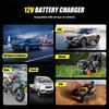 2-in-1 Intelligentes Auto-Batterieladegerät Systemtester Auto Motorrad Batterieanalysator Für Blei-Säure AGM GEL Lithium LiFePo4 Batterien