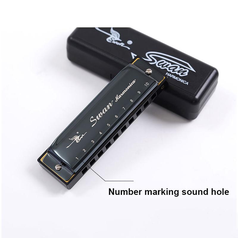 Mundharmonika 10 Löcher C-Ton Mundorgel Phosphorbronze Gehäuse Diatonische Anfänger-Mundharmonika Set für Kinder