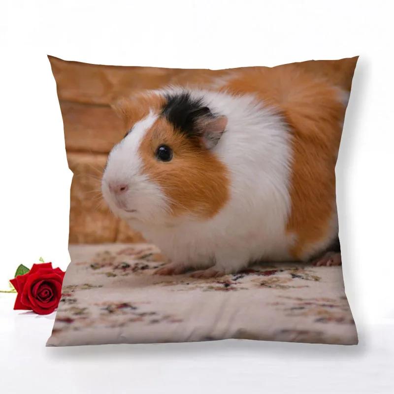 Guinea Pig Zipper Pillowcase Home Decor Satin Square  Bedroom