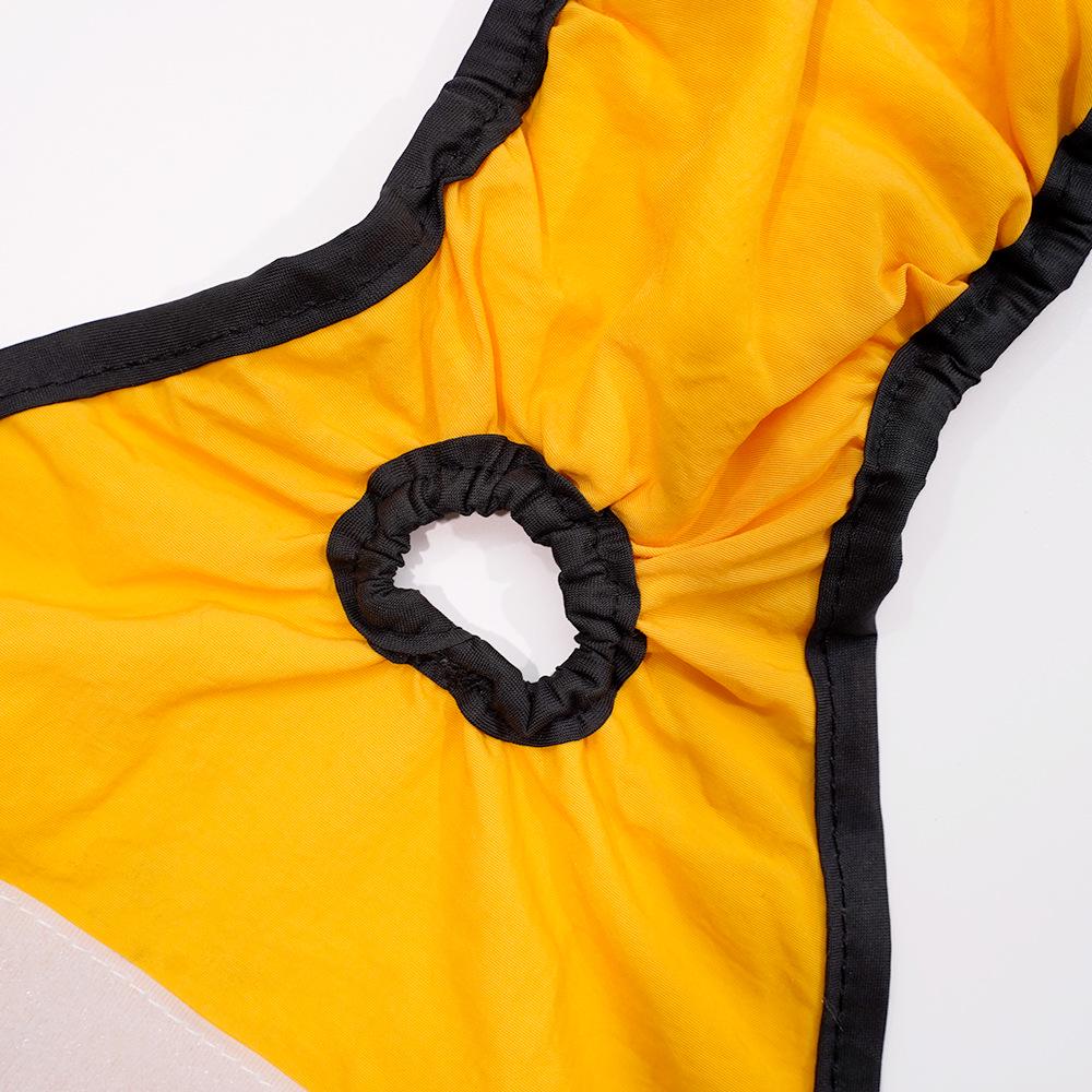 Dog Sanitary Napkin Pants: Anti-Mating and Anti-Harassment Protective Wear for Female Dogs