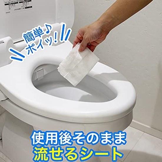 Gekiochi-kun Flushable Toilet Cleaner 99.9 Disinfection (24 Sheets 4 Packs) Alcohol Silver Ion Double ( 5)