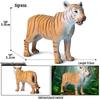 Siberian, Male, African, and White Tiger Cognitive Toy Set for Kids.
