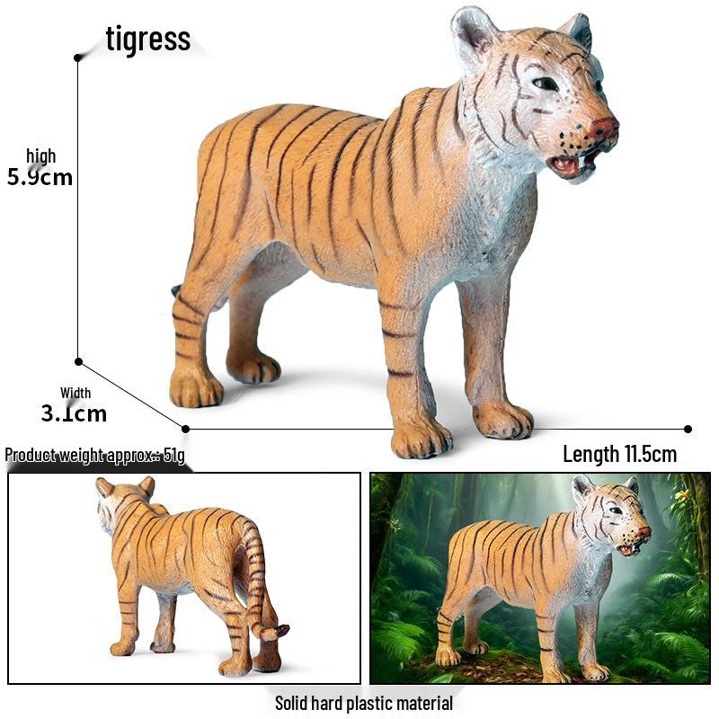 Siberian, Male, African, and White Tiger Cognitive Toy Set for Kids.