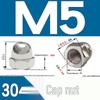 304 Stainless Steel Decorative Cap Nut with Integrated Ball Head DIN1587