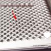 Stainless Steel Grater for Ginger, Potato, Fruit Puree, Baby Food, and Household Use