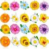 Accesorii pentru decor – Obiecte decorative din lemn