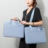 Li Shen Laptop Sleeve & Shoulder Bag