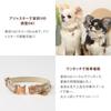 Reflective Dog Collar Popular Brand for Toy and Small Perfect for Walking monchéri [Mixed Color] (Cream/FREE) Cute, Stylish, Poodles, Chihuahuas,