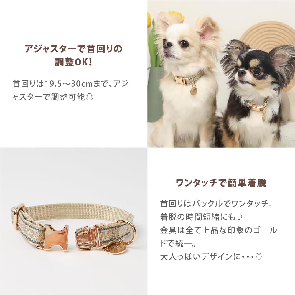 Reflective Dog Collar Popular Brand for Toy and Small Perfect for Walking monchéri [Mixed Color] (Cream/FREE) Cute, Stylish, Poodles, Chihuahuas,