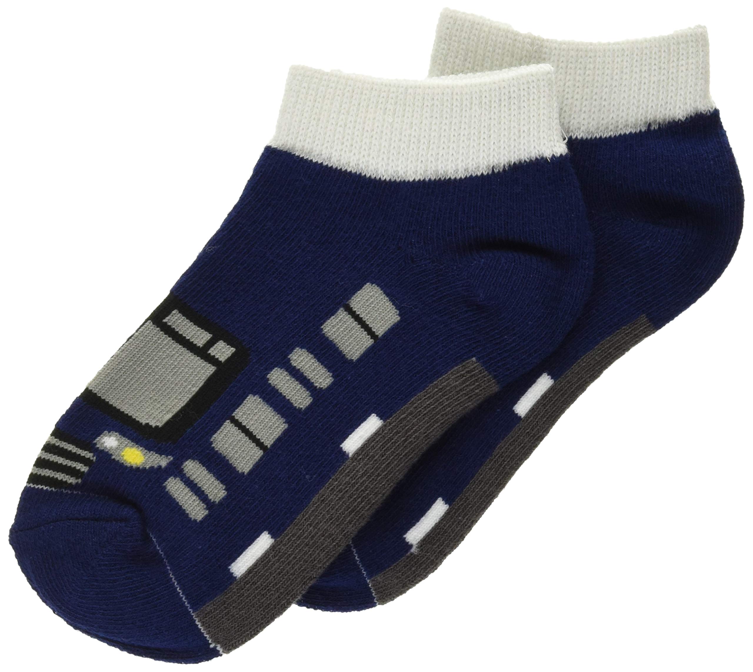 Railway Socks Sagami Railway 20000 Series [Ekitetsu] - - 16-20cm