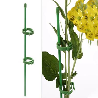 Plant Fixed Anti-lodging Flower Rack Gardening Support Single Pole Outdoor Garden Rose Climbing Hydrangea Flower Support