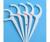 FAWNMUM Classic Dental Floss Picks, 500 Count