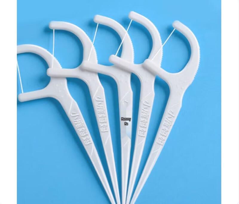 FAWNMUM Classic Dental Floss Picks, 500 Count