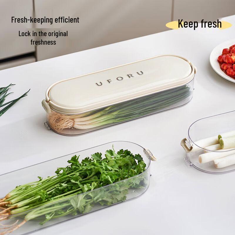 Scallion & Vegetable Refrigerator Storage Box