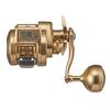 Daiwa Reel 21 Basara IC 250P Gold