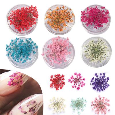 1 Box Nail Art Decorations Realistic Looking Vivid Color Natural Non-Fading Wide Application Decorative 3D Effect Colorful Dried Flower
