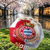 Custom Name Personalized FC Bayern Munich Print Umbrella, Auto Open Close, 8‑Rib Sturdy Frame, Commute Camping Hiking Use, Birthday Gift