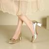 9-9 Medium heel thick heel Mary Jane shoes women's silver square buckle single shoes women's autumn new square head high heels