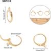 304 Stainless Steel Leverback Earring Findings, with Loop, Golden, 14.5x12mm, Hole: 1mm, Pin: 0.8x1mm, 50pcs/box