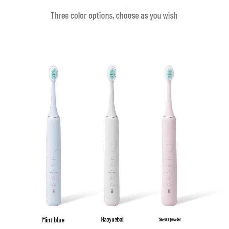 Plus Minus Zero ±0 Sonic Electric Toothbrush CN plug (adapter included)