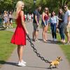 Köpek – Köpek Tasmaları ve Tasma Kayışları