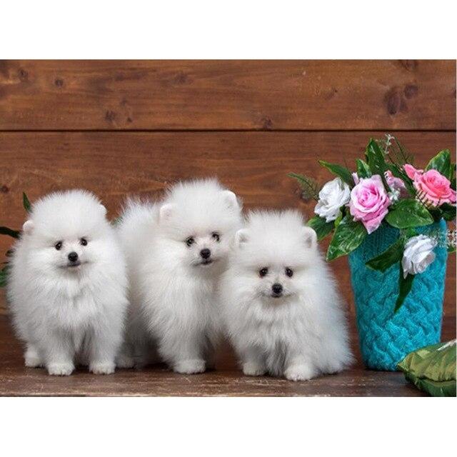 

5D DIY Алмазний живопис Собака Алмазна вишивка Померанський шпіц Повна кругла/квадратна мозаїка Щеня Зображення зі стразами Подарунок ручної роботи Full Round 20X30CM рожевий червоний колір