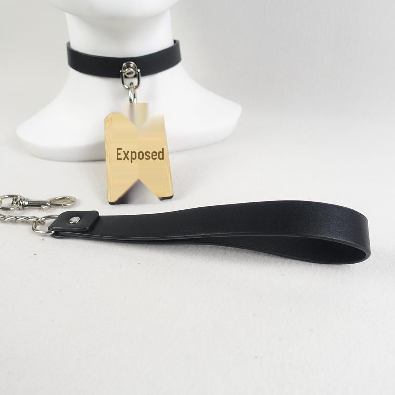 Stealth Nipple Clamps & SM Collar Set: Unisex Outdoor Sex Toys with Penis Mask & Anal Plug