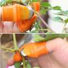 Farm Vegetable Fruit Picker Pickle Pepper Pickle Tip Picker Iron Nail Pick Grape Picker for Garden Orchard and Vegetable Patch
