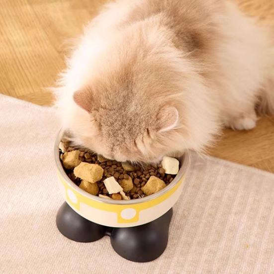 Elevated Cat Bowls Stainless Steel Pet Dish with Non-Slip Base Removable Pet Bowls for Food Water Wide Shallow Cat Dish