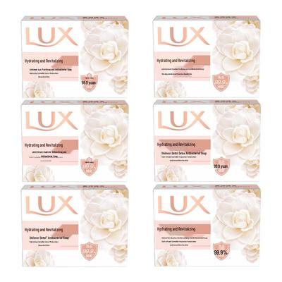 Detox & Radiant Bar Soap - 6 Pack