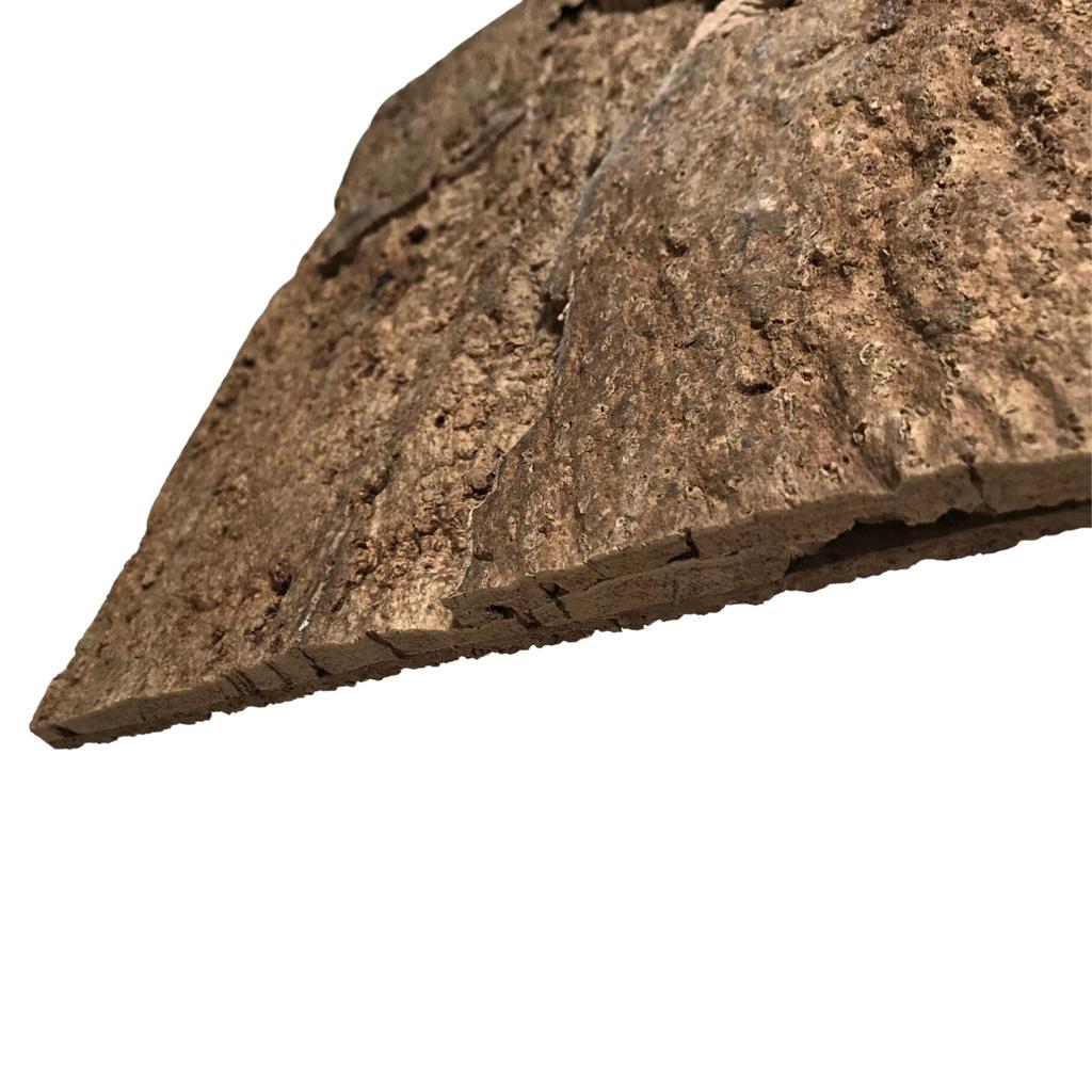 BioVirgin Cork Background Brown 30x30cm cork background for terrariums