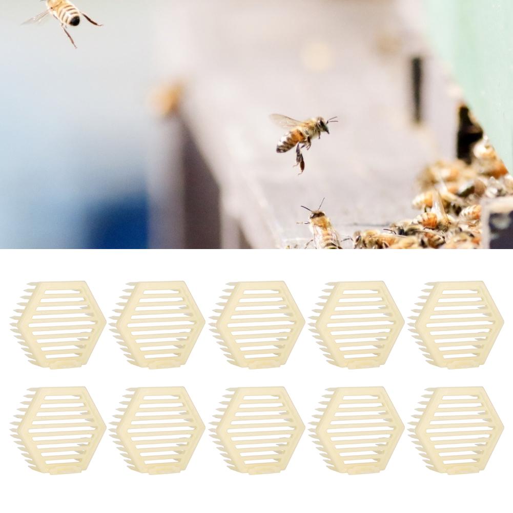 10Pcs Hexagonal Shape, Cage Beekeeper Tool Beekeeping lithium battery solar   Supplies   solarregler mppt Equipment Bee Keeping Accessories