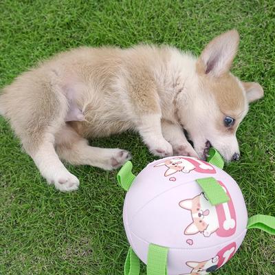 Pelota de Juguete para Perro para Tirar Portátil para Exterior Pelota de Fútbol Flexible Chillona Juguete Multifuncional para Cachorro Mascota Pelota Interactiva