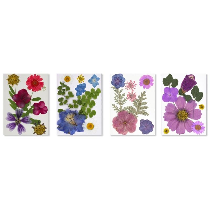 32Pcs Realistic Flower Pressed Florals Kits 4 Pack Natural Florals Craft Supplies For Resin Decorations And Gifts