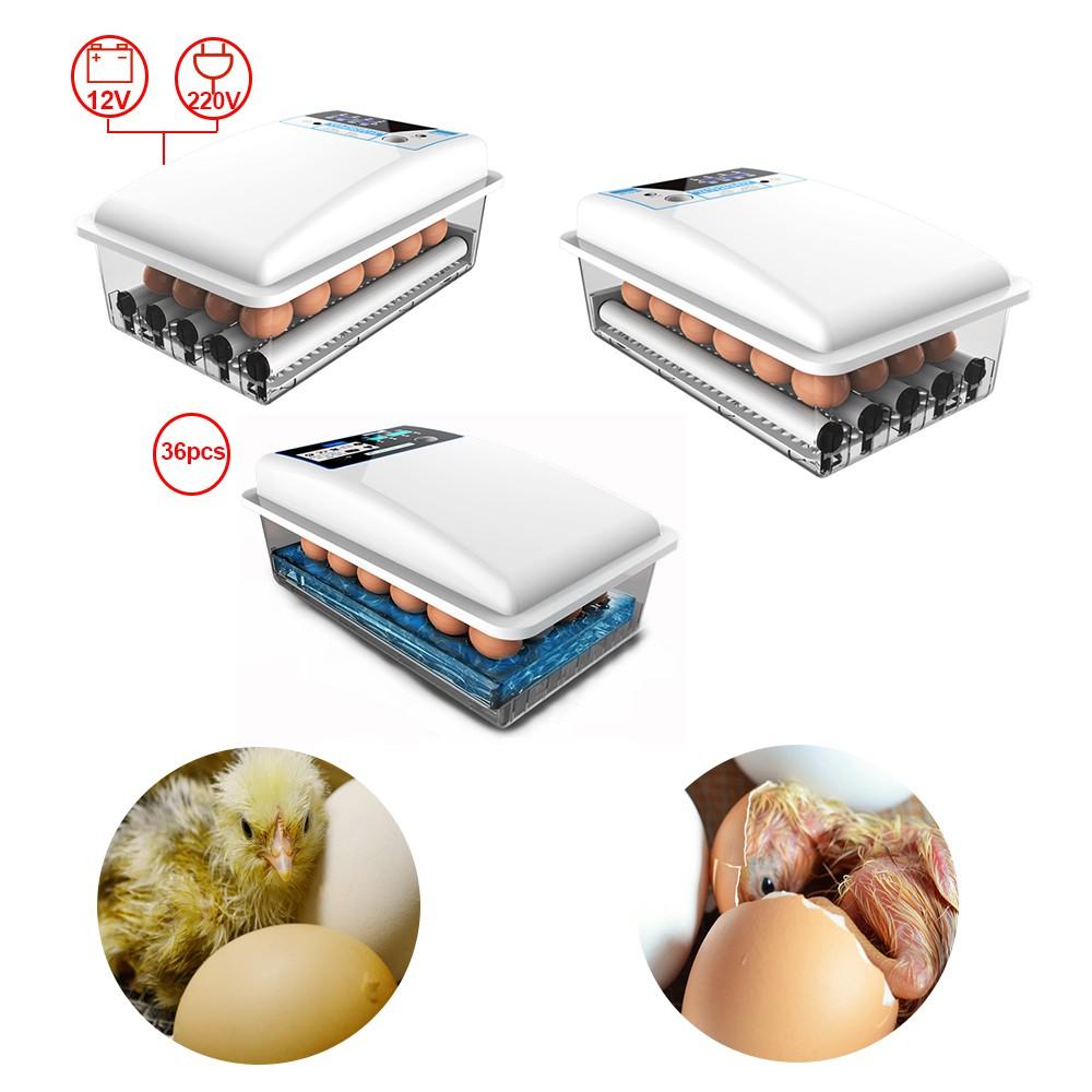 New 24Egg Automatic Turning Incubators Bird Duck Chicken Poultry Hatcher Egg Incubator New PP Temperature Control 39*24*17cm