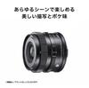 Sigma 24mm DG DN Contemporary Lens for Sony and Mirrorless Cameras F3.5 E-Mount, Wide-Angle, Full-Frame