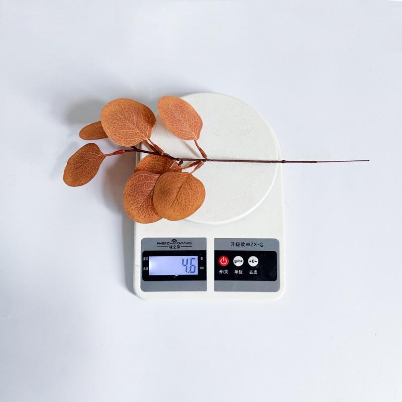 Künstliche Simulations-Eukalyptusblätter, Einzelne Geldblätter, Herbstliche Heimdekoration, Tischschmuck, Fotorequisiten