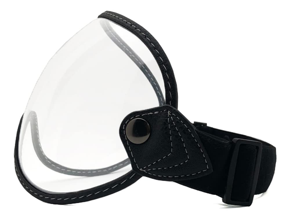 GOGGLE SHIELD CLEAR [SPEED ADDICT]