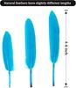 100Pcs Blue Goose Feathers 10-15cm Natural Dyed Feather for Wedding Decoration Party DIY Crafts Halloween Costume Supplies