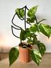 Podpora do roślin pnączy podpórka kwiatów pnących drabinka monstera m 32 cm