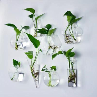 Clear Glass Planter Wall Hanging Flower Vase Plant Bottle Home Decor