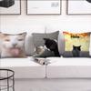 Lustige Katzen-Meme-Kissenhülle Kurzer Plüsch Polyester Kissenbezug Dekor Dekokissenbezug Heimdeko