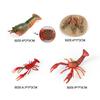 Oenux Ocean Animals Simulation Tiger Prawn Crayfish Shrimp Sea Life Model Figurines Action Figures Collection Toys For Kids Gift