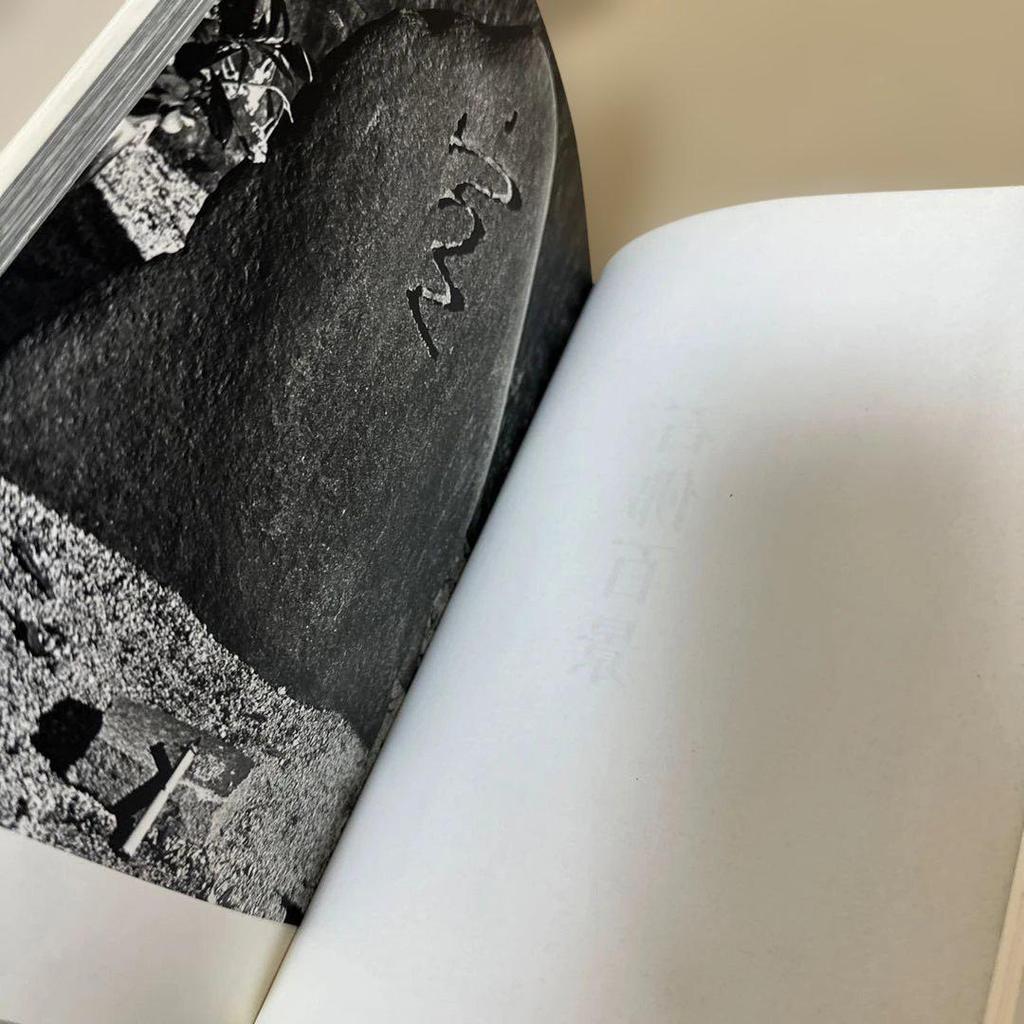 [USED] Rare Stone Buddha 100 Views by Satoshi Wakasugi, Kofusha Bookstore