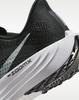 FQ7261-002 Nike Pegasus Plus Black Anthracite White Pure Platinum (Women's)