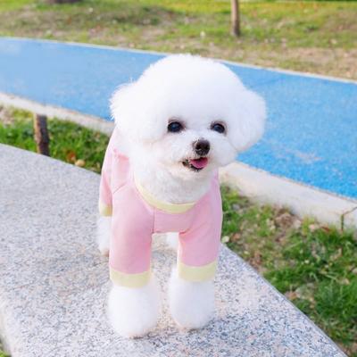 Bequeme Insektensichere Hunde Vierbeinige Hose Atmungsaktiver Modischer Haustier-Overall Coole Haustierkleidung Chihuahua